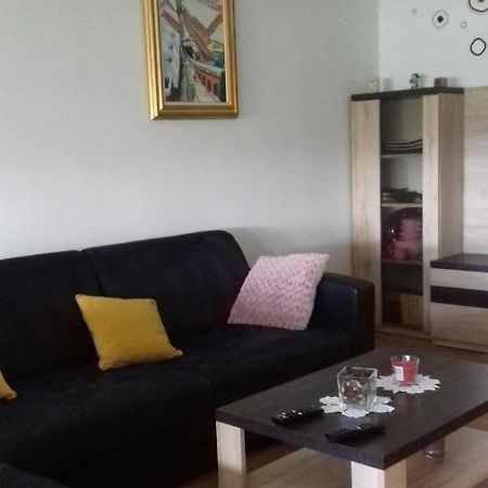 Apartman Lana ,Froudeova Ulica 3 Nasuprot Zg Velesajma Διαμέρισμα Ζάγκρεμπ Εξωτερικό φωτογραφία