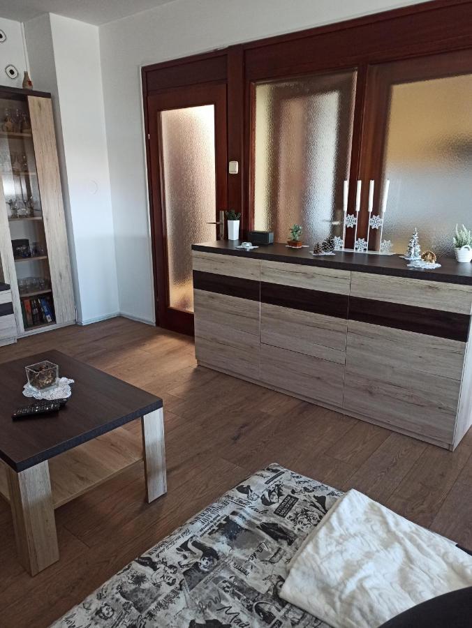 Apartman Lana ,Froudeova Ulica 3 Nasuprot Zg Velesajma Διαμέρισμα Ζάγκρεμπ Εξωτερικό φωτογραφία